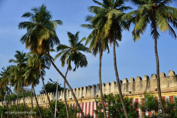 srirangam car fetival street